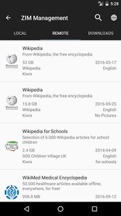 Kiwix 3.14.0. Скриншот 1