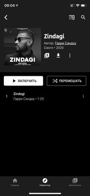 Стоит ли переходить на подписку YouTube Premium: преимущества и подводные камни