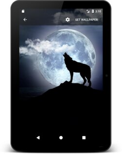 3D Wallpaper Parallax 8.0.3. Скриншот 9