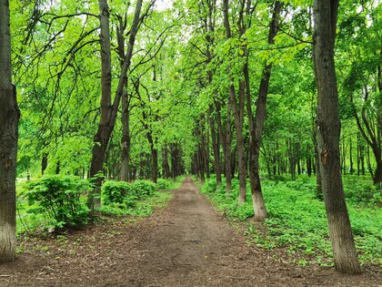 Обзор HONOR 30 Pro+: игровой камерофон за разумные деньги