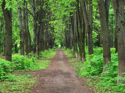 Обзор HONOR 30 Pro+: игровой камерофон за разумные деньги