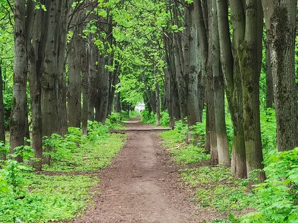 Обзор HONOR 30 Pro+: игровой камерофон за разумные деньги