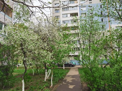 Обзор HONOR 30 Pro+: игровой камерофон за разумные деньги