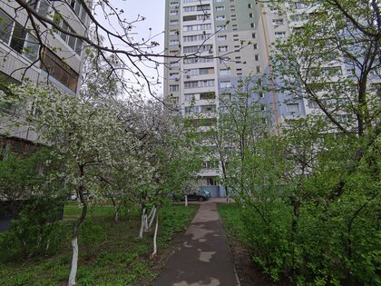 Обзор HONOR 30 Pro+: игровой камерофон за разумные деньги