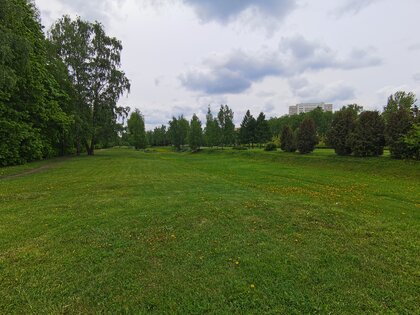 Обзор HONOR 30 Pro+: игровой камерофон за разумные деньги