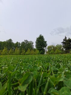 Обзор HONOR 30 Pro+: игровой камерофон за разумные деньги