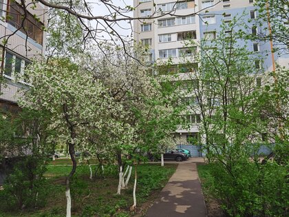 Обзор HONOR 30 Pro+: игровой камерофон за разумные деньги