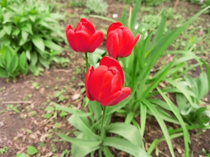 Обзор HONOR 30 Pro+: игровой камерофон за разумные деньги