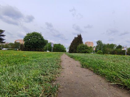 Обзор HONOR 30 Pro+: игровой камерофон за разумные деньги