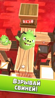 Angry Birds AR 1.1.3. Скриншот 3