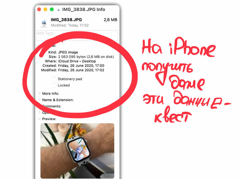 Этих 10 фишек не хватает в iOS 14, хотя они есть на Mac или Apple Watch