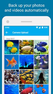 Sync – безопасное облачное хранилище 3.8.36.6. Скриншот 3