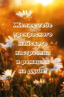 Открытки на все случаи жизни 2.7.27. Скриншот 3