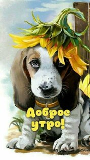 Открытки на все случаи жизни 2.7.27. Скриншот 5