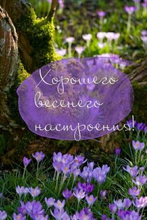 Открытки на все случаи жизни 2.7.27. Скриншот 9