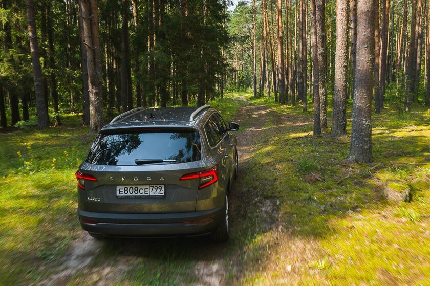 Тест-драйв Skoda Karoq '20. В поисках идеального баланса
