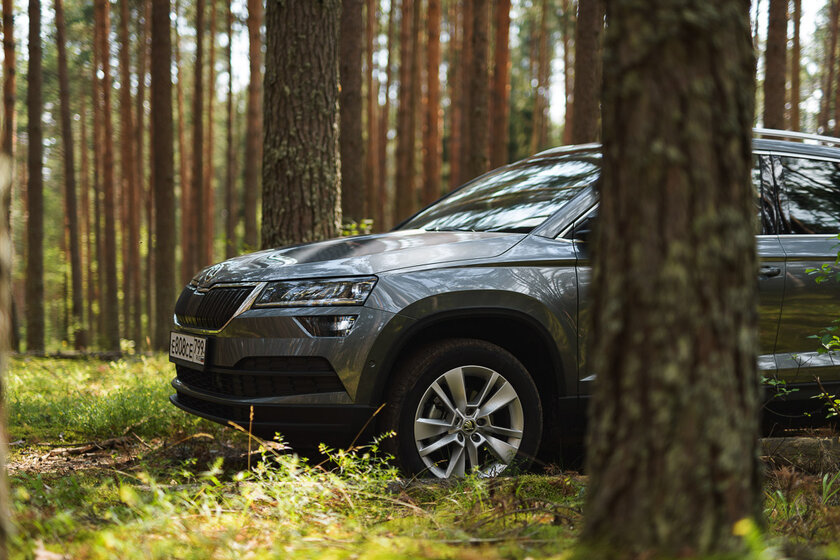 Тест-драйв Skoda Karoq '20. В поисках идеального баланса