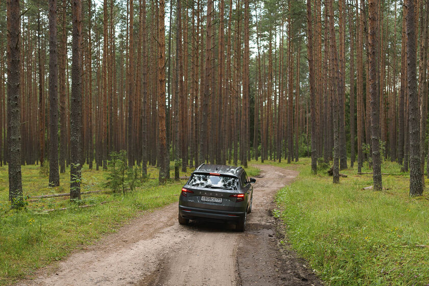Тест-драйв Skoda Karoq '20. В поисках идеального баланса