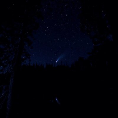 Станут отличными обоями. Лучшие фотографии одной из самых ярких комет NEOWISE