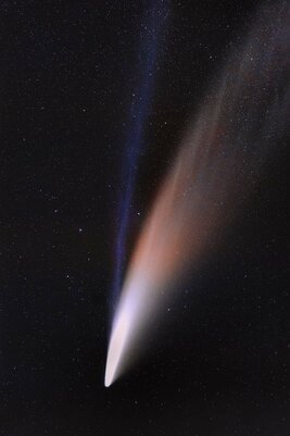 Станут отличными обоями. Лучшие фотографии одной из самых ярких комет NEOWISE