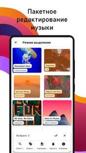 AutoTagger - авто и пакетный редактор тегов 3.4.1. Скриншот 3