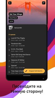 AutoTagger - авто и пакетный редактор тегов 3.4.1. Скриншот 4