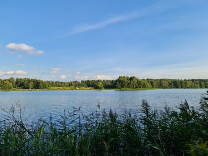 Обзор Samsung Galaxy Note20 Ultra: жертвуя автономностью ради технопрогресса