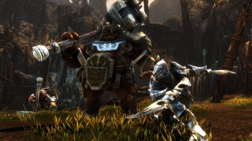Состоялся релиз Kingdoms of Amalur: Re-Reckoning на ПК, PS4 и Xbox One