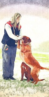 Sketch Camera 1.41. Скриншот 8