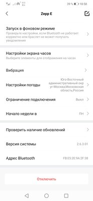 Опыт использования Zepp E Circle: качественный экран, водозащита и слабый функционал — Приложение-компаньон. 7