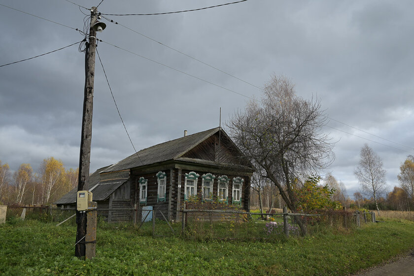 Если нужна беззеркалка по вменяемой цене и с хорошим потенциалом. Обзор Nikon Z5