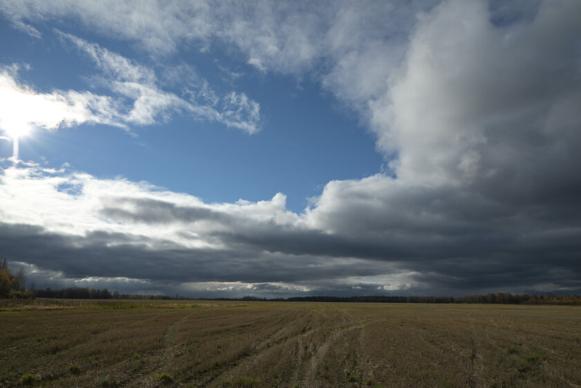 Если нужна беззеркалка по вменяемой цене и с хорошим потенциалом. Обзор Nikon Z5
