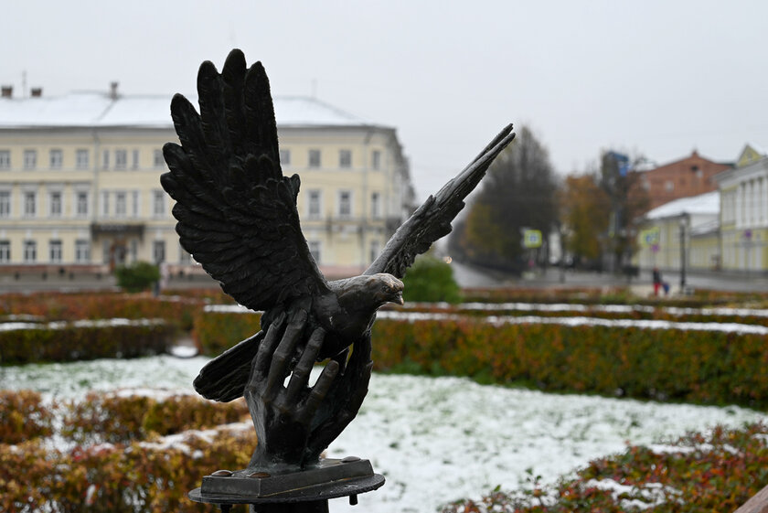 Если нужна беззеркалка по вменяемой цене и с хорошим потенциалом. Обзор Nikon Z5