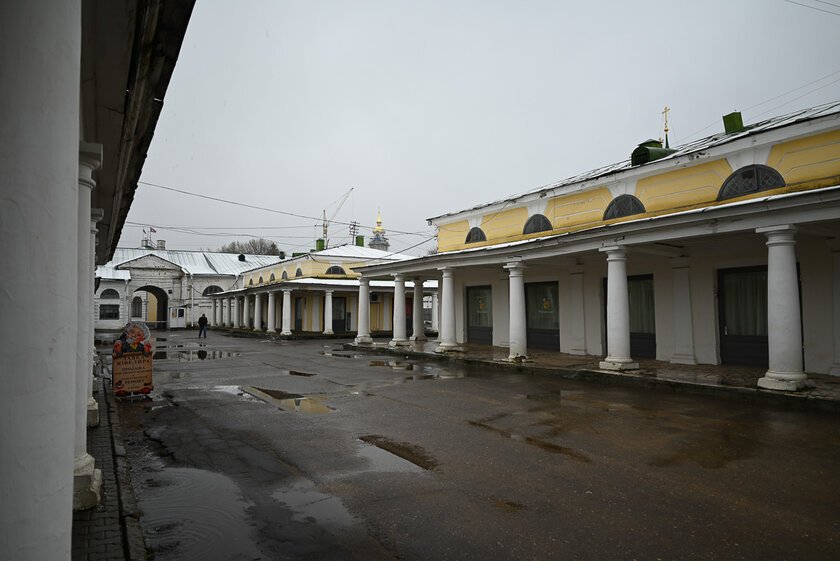 Если нужна беззеркалка по вменяемой цене и с хорошим потенциалом. Обзор Nikon Z5