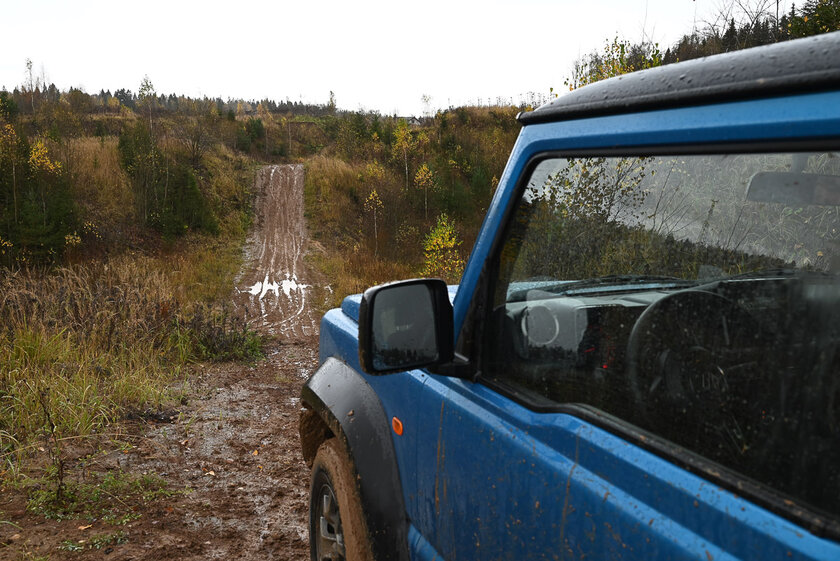 Если нужна беззеркалка по вменяемой цене и с хорошим потенциалом. Обзор Nikon Z5