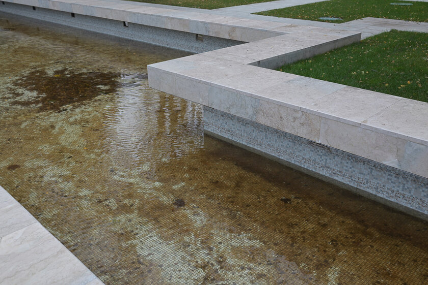 Если нужна беззеркалка по вменяемой цене и с хорошим потенциалом. Обзор Nikon Z5