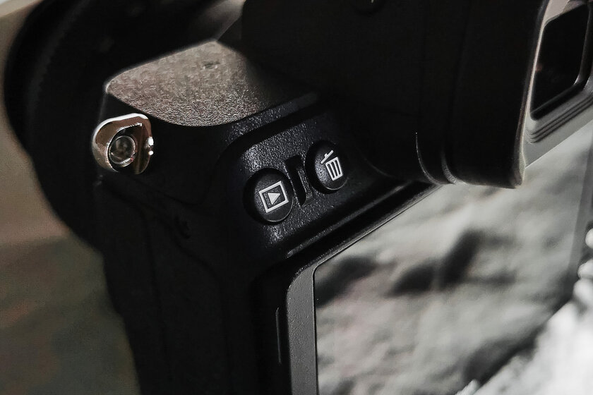 Если нужна беззеркалка по вменяемой цене и с хорошим потенциалом. Обзор Nikon Z5