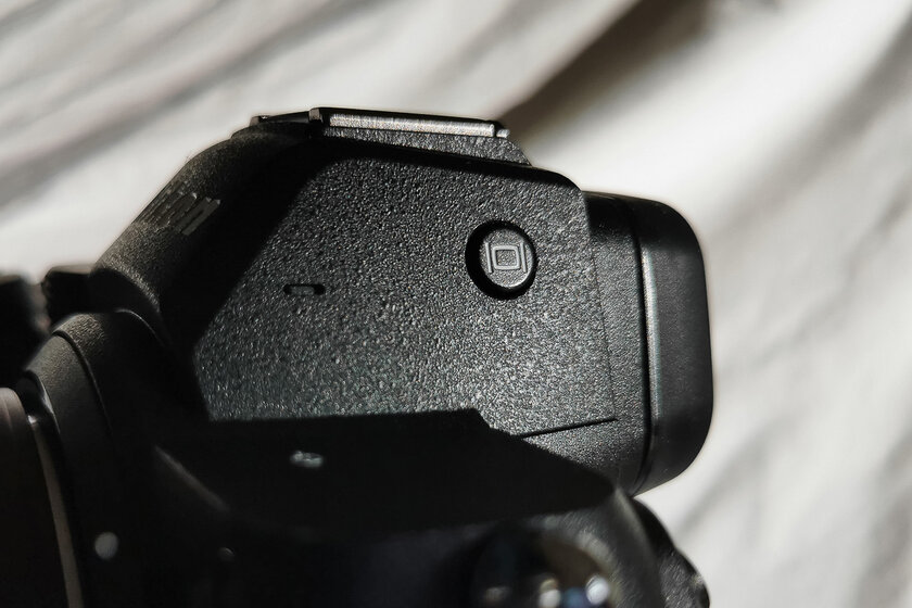 Если нужна беззеркалка по вменяемой цене и с хорошим потенциалом. Обзор Nikon Z5