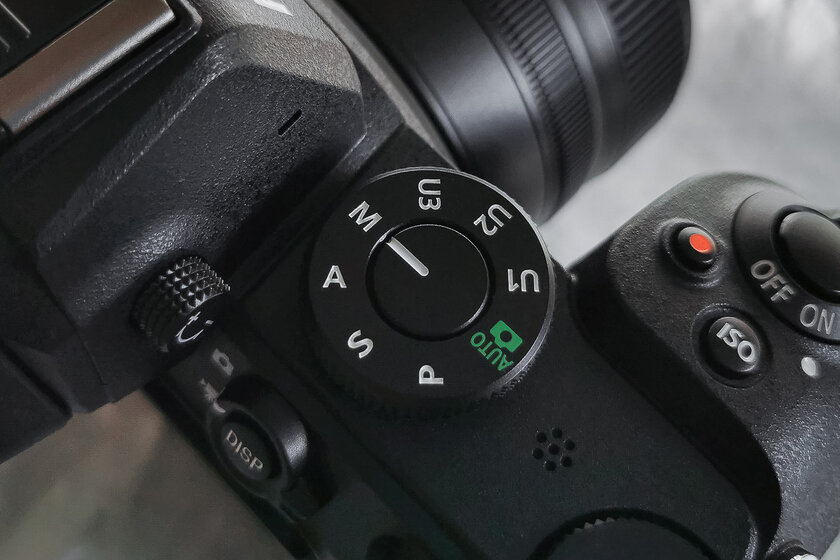 Если нужна беззеркалка по вменяемой цене и с хорошим потенциалом. Обзор Nikon Z5