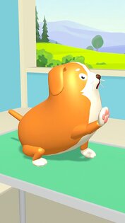 Paw Care 1.6.8. Скриншот 5