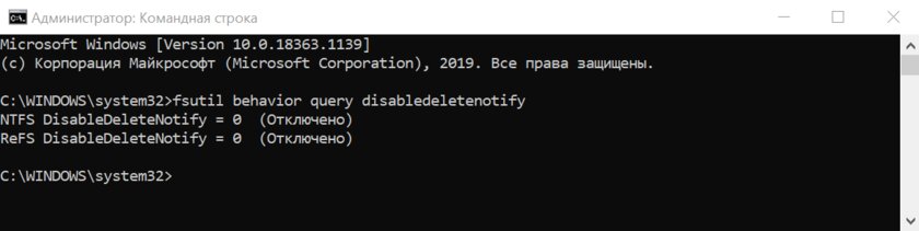 Как восстановить удалённые файлы с ПК и не потерять их в дальнейшем