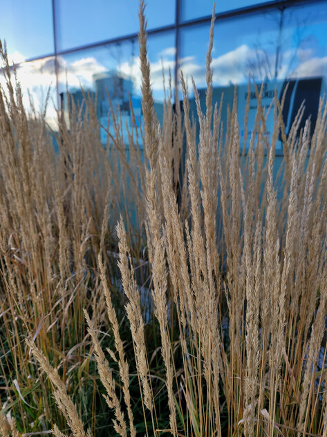 Подводные камни складного смартфона в реальной жизни. Проходил 2 недели с Galaxy Z Fold 2