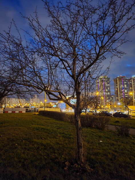 Подводные камни складного смартфона в реальной жизни. Проходил 2 недели с Galaxy Z Fold 2