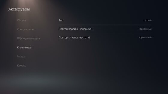 Тест PlayStation 5 — сила в геймпаде, брат