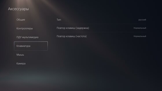 Тест PlayStation 5 — сила в геймпаде, брат