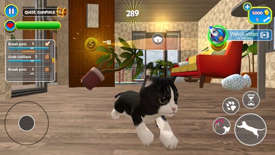 Virtual Cat Simulator 1.8. Скриншот 11