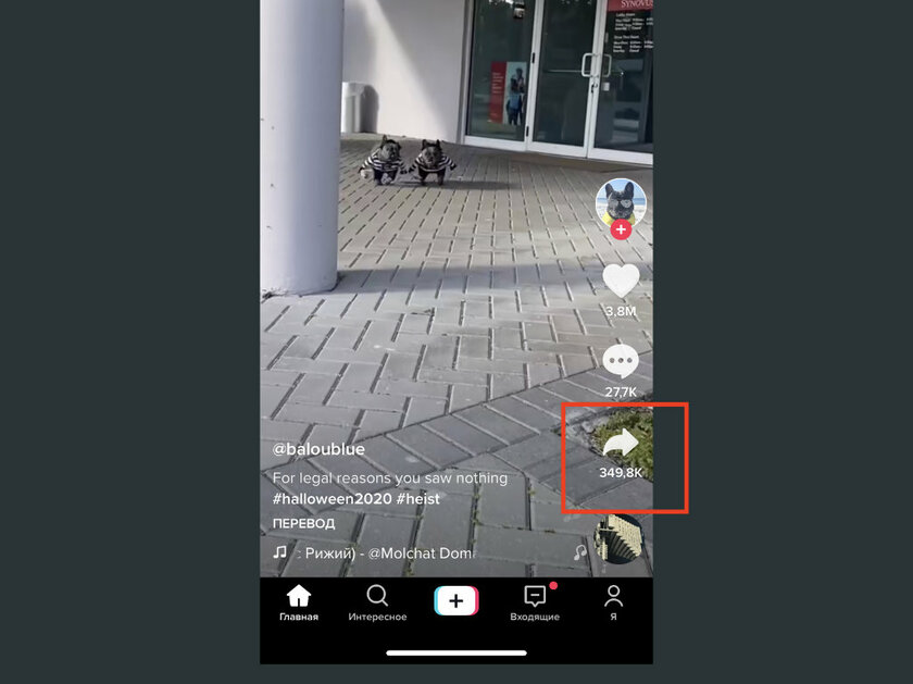 Как скачать музыку из TikTok на телефон: 4 бесплатных способа