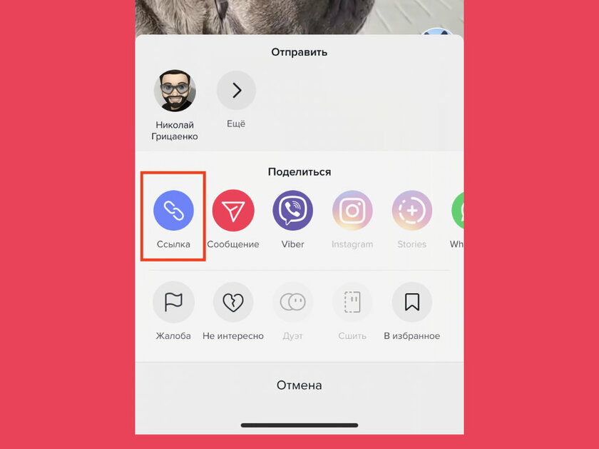 Как скачать музыку из TikTok на телефон: 4 бесплатных способа