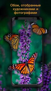 Alive 2.0.11.0. Скриншот 5