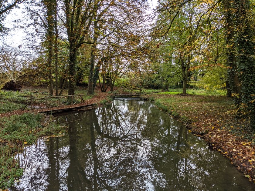 Эволюция алгоритмов камеры от Google: как отличаются снимки на Pixel 3–5 с одинаковой матрицей